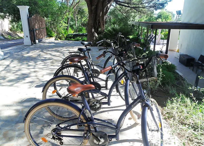 Frühstückspension Perle De La Saint Aygulf